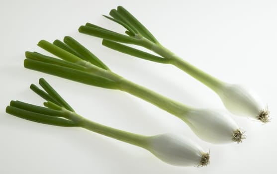 spring onions