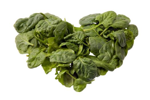 A heartof spinach isolated against a white background.