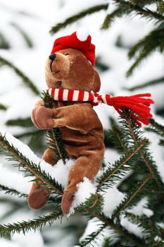 Christmas Teddy Bear on background with snow and firtree