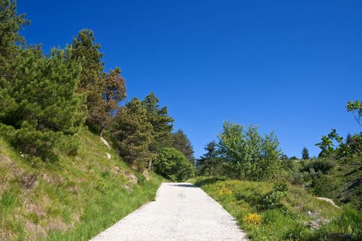 Dirty mountain road under bright blue sky with plants and trees