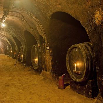 wine cellar, Winery of Oldrich Splichal and Jitka Splichalova, Novy Saldorf, Czech Republic
