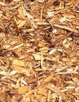 Wood chips