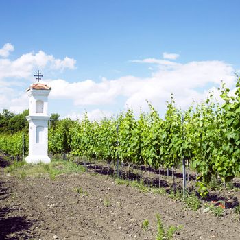 village chapel with wineyard near Perna, Czech Republic