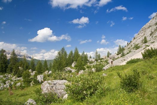 summer beautiful panorama in italian Dolomites with green meadow pine trees 
