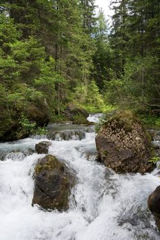 beautiful nature scene with river and waterfall at summer in val di Fassa, italian Dolomites