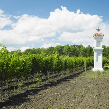 village chapel with wineyard near Perna, Czech Republic