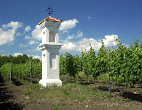 village chapel with wineyard near Perna, Czech Republic