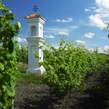 village chapel with wineyard near Perna, Czech Republic