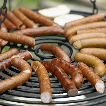 grilled sausages