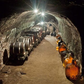 wine cellar, Vrba Winery, Vrbovec, Czech Republic
