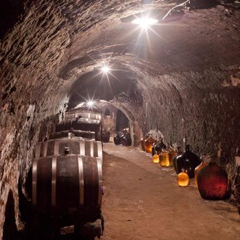 wine cellar, Vrba Winery, Vrbovec, Czech Republic