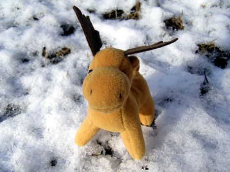 Christmas deer in real snow
