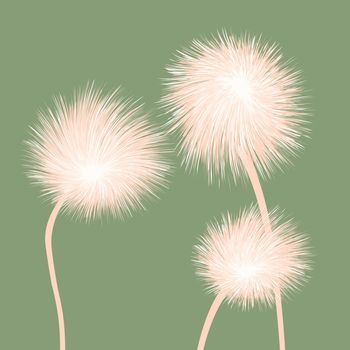 Stylized dandelions illustration background for web