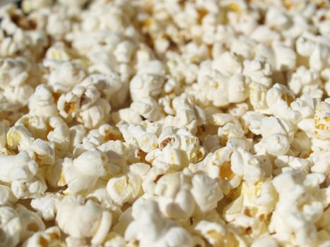 Pop corn maize useful as a background