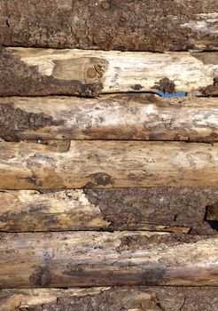 Old wood logs or plank board background