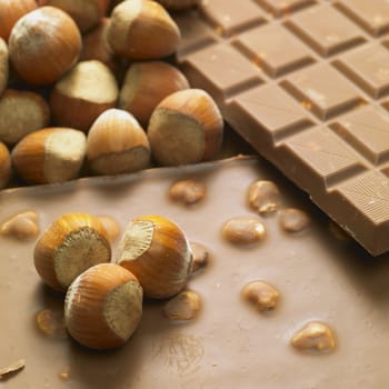 chocolate bars with hazelnuts