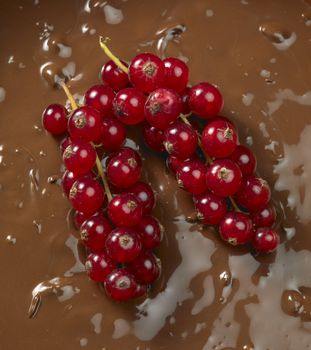chocolate fondue