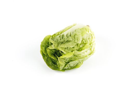 Small single fresh green salad lettace on a reflective white background