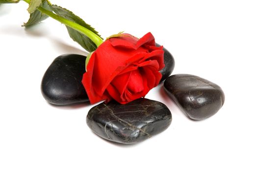 spa stones with red rose over white background 