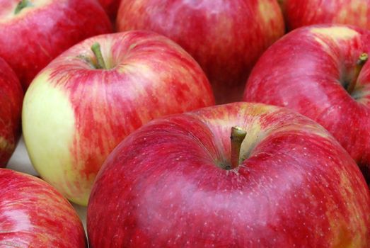 Closeup of Red Apples Stacked in Rows