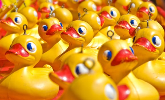 rubber ducky you are the one or two or few hundred