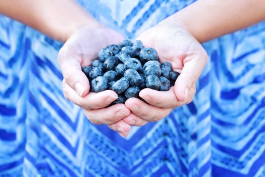Woman offers freshly picked blueberries. Shallow DOF with selective focus on blueberries and fingertips.