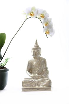buddha and orchid with textile