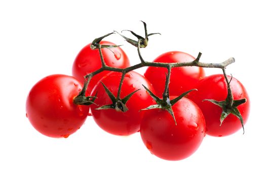 six wet tomatoes isolated on white