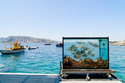 Beautiful Santorini sea view on the see and aquarium 