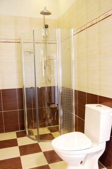 Contemporary bathroom interior with shower and toilet