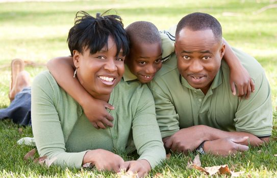 African American Family Enjoying a Day in the Park.