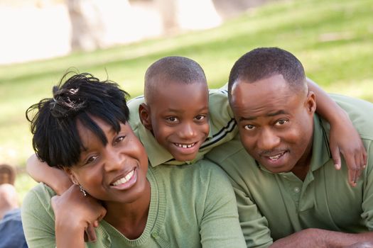 African American Family Enjoying a Day in the Park.