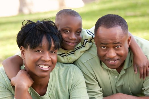 African American Family Enjoying a Day in the Park.