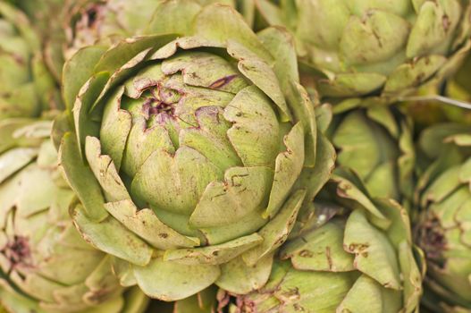 artichoke at a farmer market