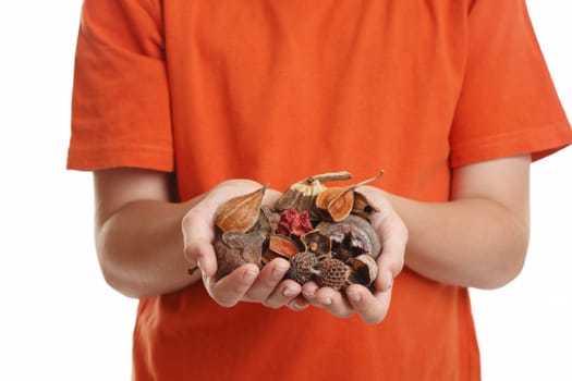 A handful of fragrant natural potpourri.