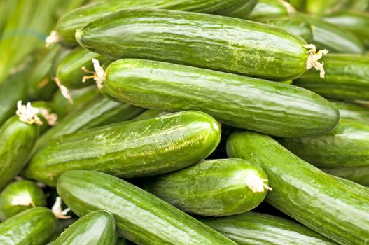 cucumber at a farmer market