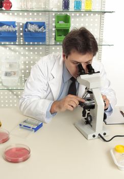 A scientist observes an object under magnification of a microscope in the laboratory