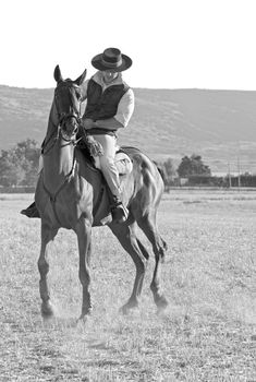 practicing with his horse rider dressage in nature
