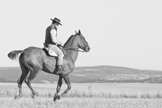 practicing with his horse rider dressage in nature
