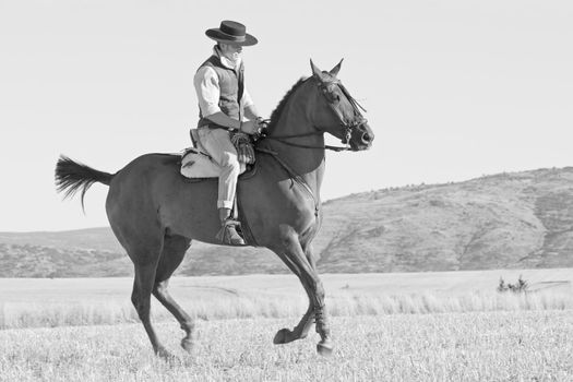 practicing with his horse rider dressage in nature
