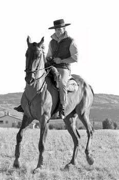 practicing with his horse rider dressage in nature
