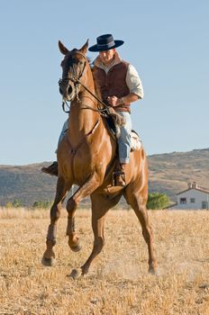 practicing with his horse rider dressage in nature
