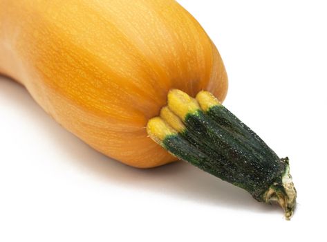 Orange pumpkin with cutted rootlet isolated on white