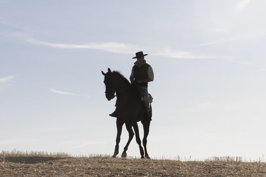 practicing with his horse rider dressage in nature
