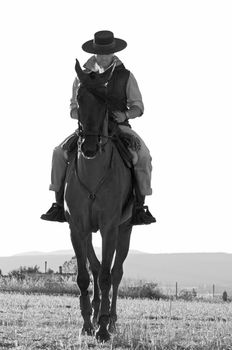 practicing with his horse rider dressage in nature
