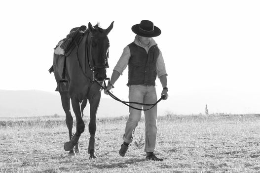 practicing with his horse rider dressage in nature
