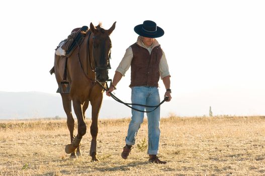 practicing with his horse rider dressage in nature
