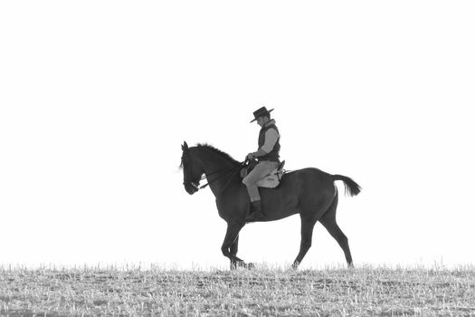 practicing with his horse rider dressage in nature
