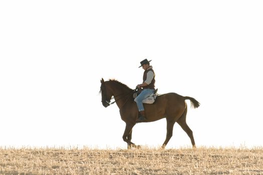 practicing with his horse rider dressage in nature
