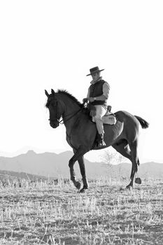 practicing with his horse rider dressage in nature
